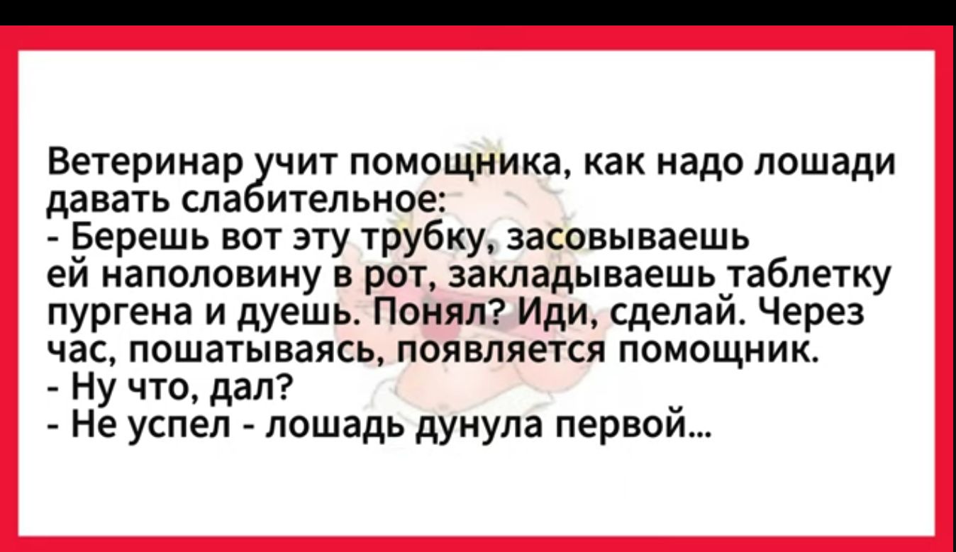 Ветеринар учит помощника как надо лошади давать слабительное Берешь вот эту трубку засовываешь ей наполовину в рот закладываешь таблетку пургена и дуешь ПонялИди сделай Через час пошатываясь появляется помощник Ну что дал Не успел лошадь дунула первой