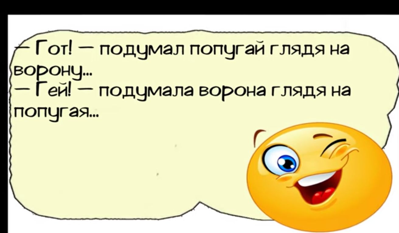 Гот подумал попугай глядя на воронц Гей подумала ворона глядя на попугая