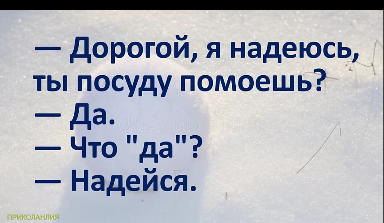 Дорогой я надеюсь ты посуду помоешь Да Что да Надейся