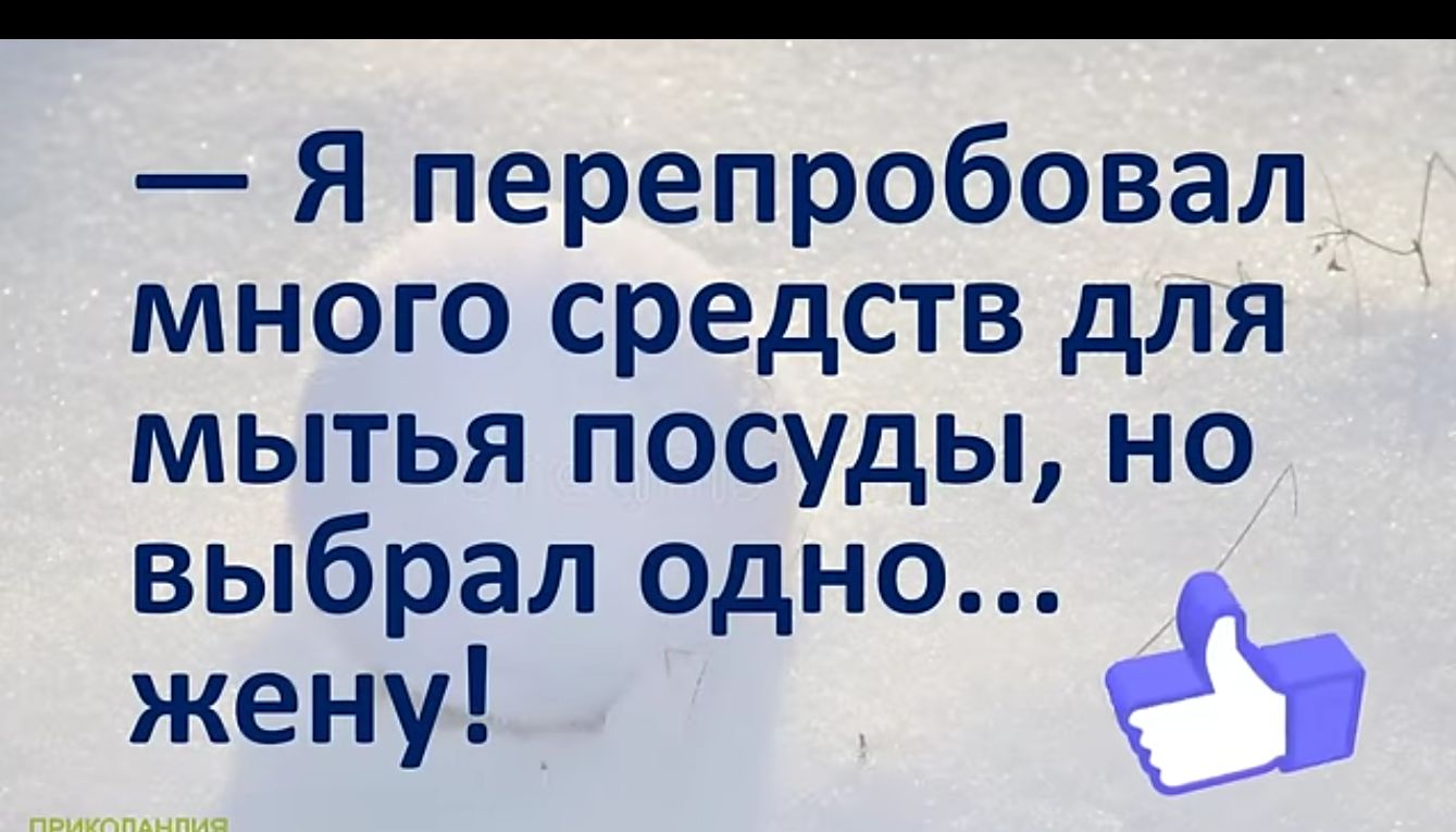 Я перепробовал _ много средств для_ мытья посуды но выбрал ОдНО жену