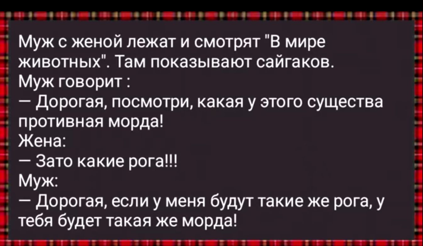 офе че аее н оо еца е афн аееа Муж с женой лежат и смотрят В мире животных Там показывают сайгаков Муж говорит Дорогая посмотри какая у этого существа противная морда Жена Зато какие рога Муж Дорогая если у меня будут такие же рога у тебя будет такая же морда РЫННЫА ЕНОе КЕНЕ ЛОЛЕИИЕ т е ОВ НЕОМЕ СОН 73 Тоьы с НОа САН ст о РолдвЫ аа1а У ТЕЛЕа ЕСа З