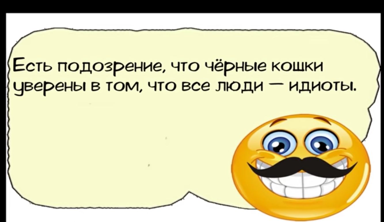 Есть подозрение что чёрные кошки чверены в том что все люди идиоты