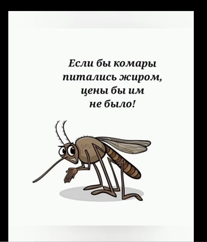 Если бы комары питались жиром цены бы им небыло