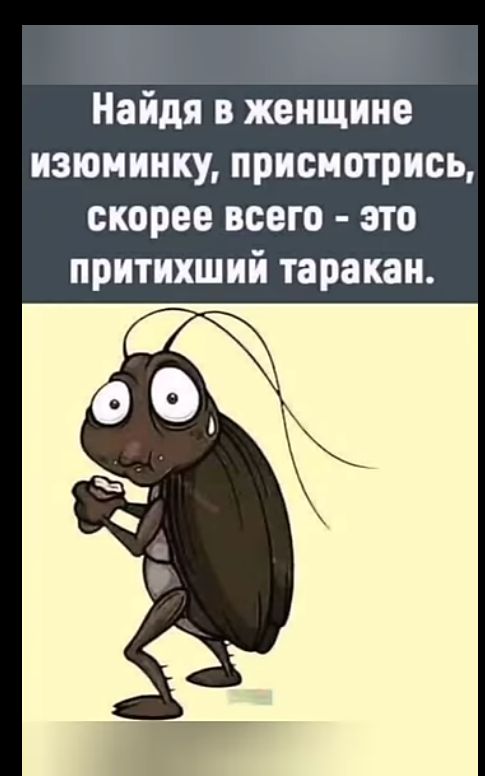 Найдя в женщине изюминку присмотрись скорее всего это притихший таракан