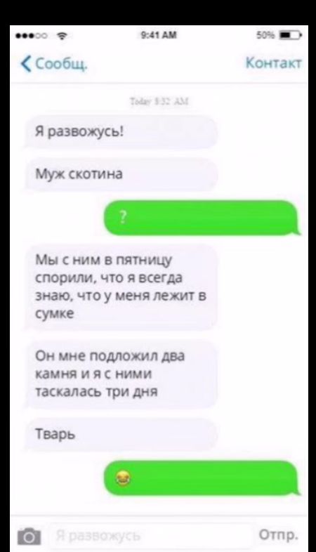 скотина в пятни что я всегда знаю что у меня леж сумке ил два камня и я с ними таскалась три дня