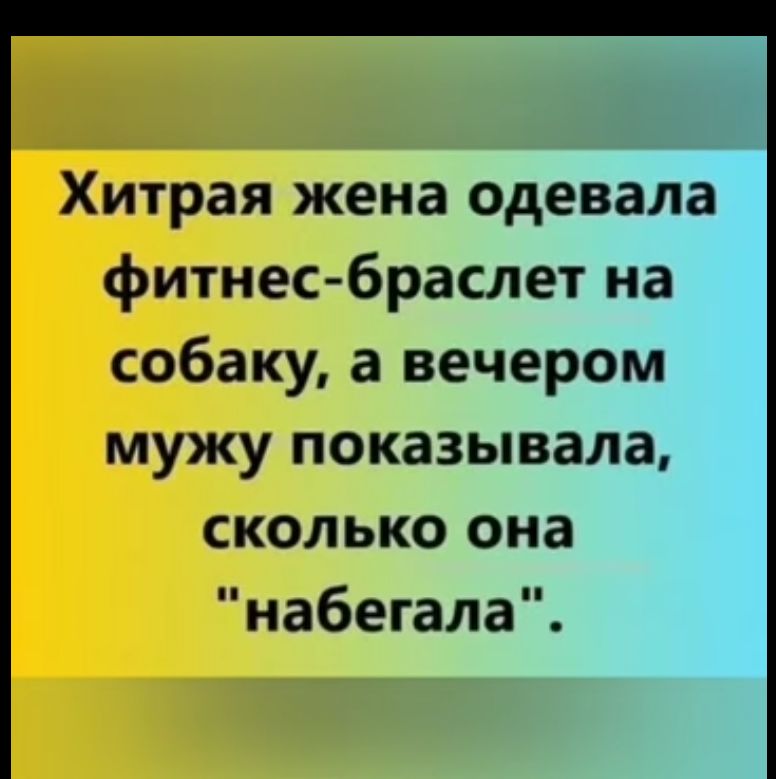 Хитрая жена одевала фитнес браслет на собаку а вечером мужу показывала сколько она набегала