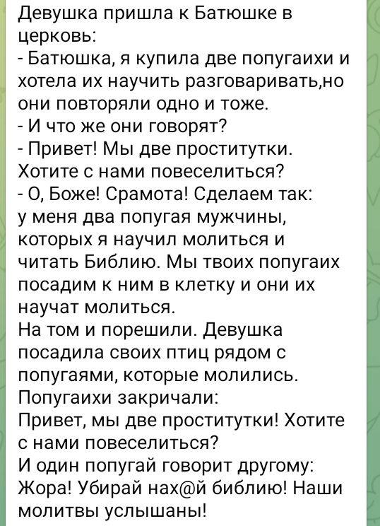 Девушка пришла к Батюшке в церковь Батюшка я купила две попугаихи и хотела их научить разговариватьно они повторяли одно и тоже И что же они говорят Привет Мы две проститутки Хотите с нами повеселиться О Боже Срамота Сделаем так у меня два попугая мужчины которых я научил молиться и читать Библию Мы твоих попугаих посадим к ним в клетку и они их на