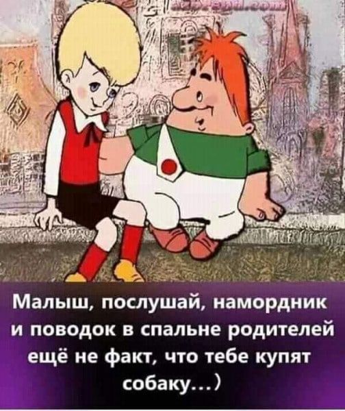 ТНО СОНМЕ ЕНЕ аЕС Малыш послушай намордник и поводок в спальне родителей ещё не факт что тебе купят собаку й