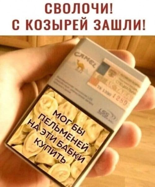 СВОЛОЧИ С КОЗЫРЕЙ ЗАШЛИ