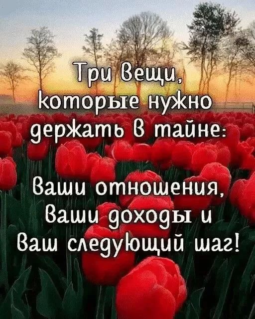 оторые ну1но дерЖать В тайне Ваши отношения Вашидоходы и Ваш следующий шаг