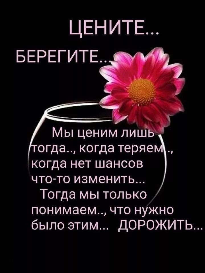 ЦЕНИТЕ БЕРЕГИТЕ Мы ценим ли огда когда теряе когда нет шансов что то изменить Тогда мы только понимаем что нужно было этим ДОРОЖИТЬ