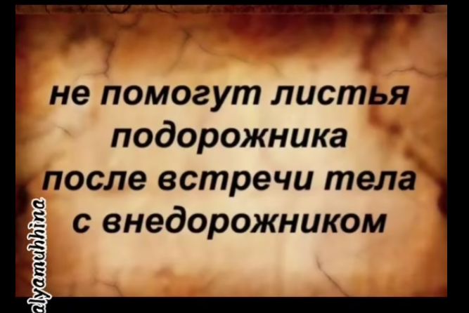 не помогут листЬя подорожника после встречи тела с внедорожником уатипьта