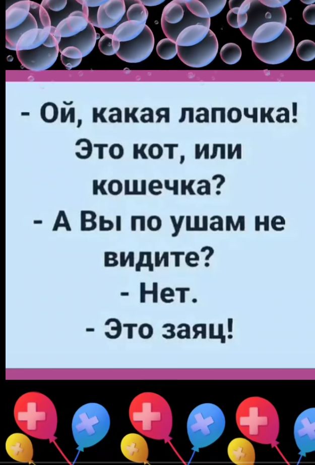 ОЙ какая лапочка Это кот или кошечка А Вы по ушам не видите Нет Это заяц