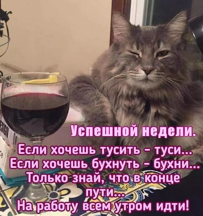 Успешной недели.
Если хочешь тусить - туси...
Если хочешь бухнуть - бухни...
Только знай, что в конце пути...
На работу всем утром идти!