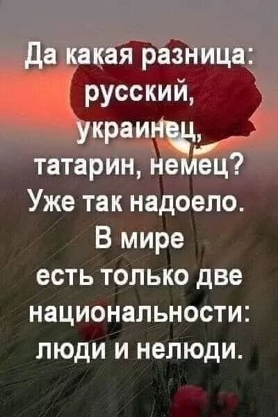 Да какая разница: русский, украинец, татарин, немец? Уже так надоело. В мире есть только две национальности: люди и нелюди.