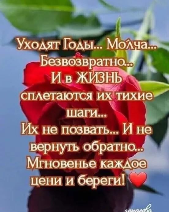 Уходят Годы... Молча... Безвозвратно... И в ЖИЗНЬ сплетаются их тихие шаги... Их не позвать... И не вернуть обратно... Мгновение каждое цени и береги!❤️