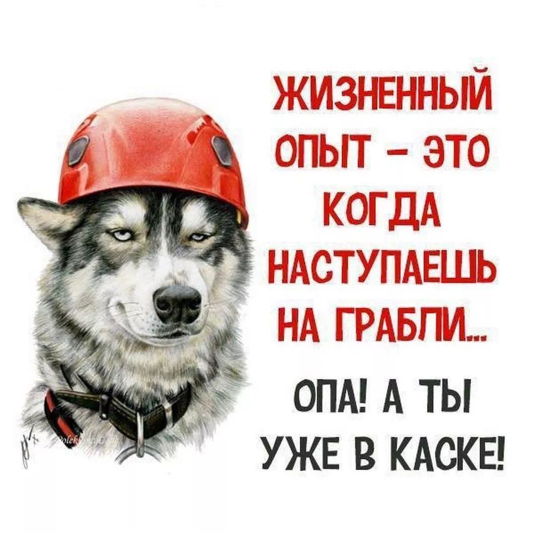 ЖИЗНЕННЫЙ ОПЫТ – ЭТО КОГДА НАСТУПАЕШЬ НА ГРАБЛИ... ОПА! А ТЫ УЖЕ В КАСКЕ!