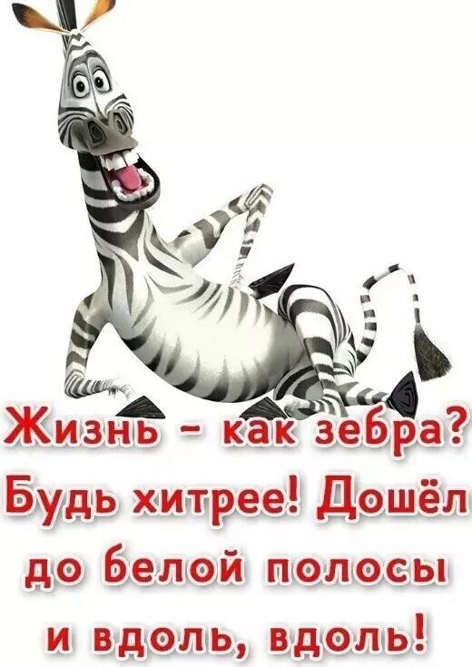 Жизнь - как зебра? Будь хитрее! Дошёл до белой полосы и вдоль, вдоль!