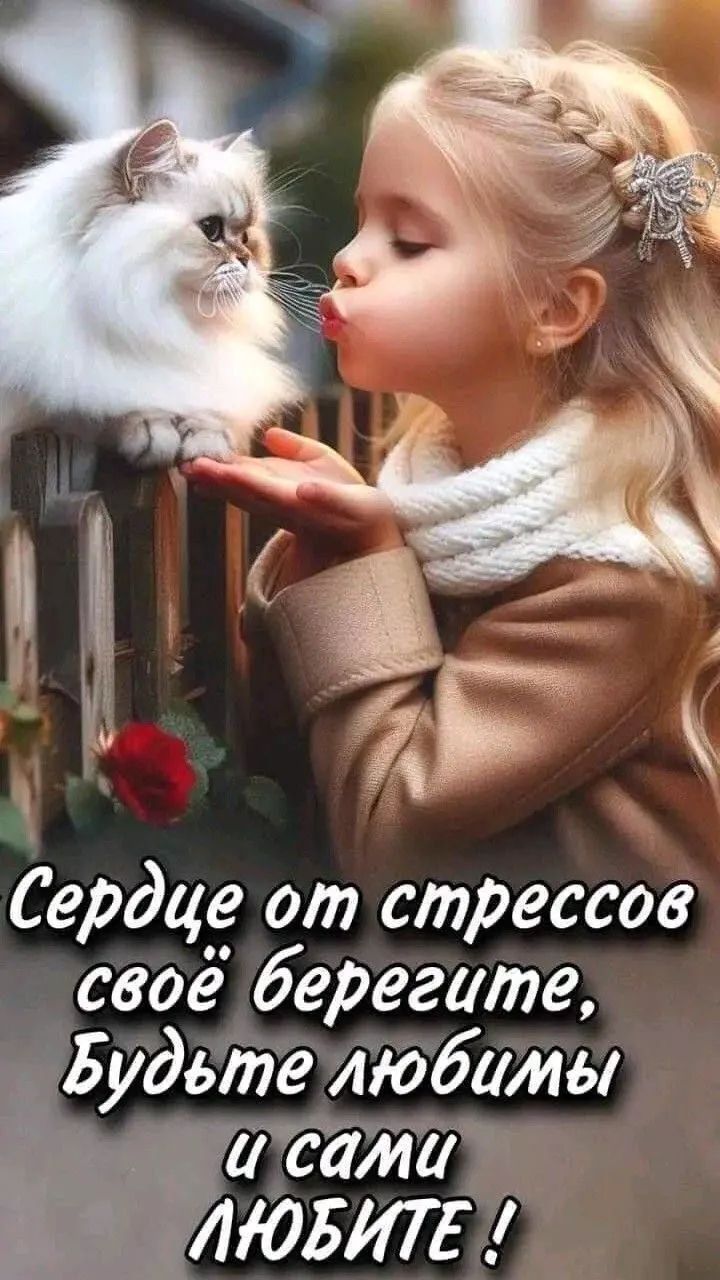 Сердце от стрессов своё берегите, Будьте любимы и сами ЛЮБИТЕ !