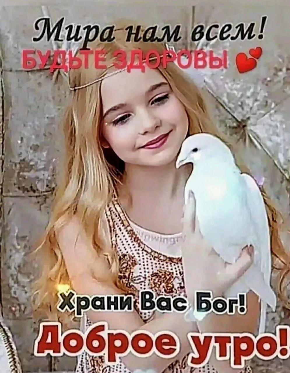 Мира нам всем! БУДЬТЕ ЗДОРОВЫ 💕 Храни Вас Бог! Доброе утро!
