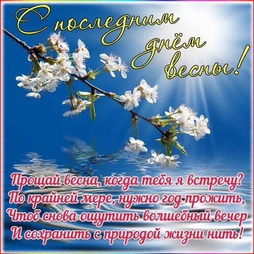 С последним днём весны!
Прощай весна, когда тебя я встречу?
По крайней мере, нужно год-прожить,
Чтоб снова ощутить волшебный вечер
И сохранить с природой жизнь нитей!
