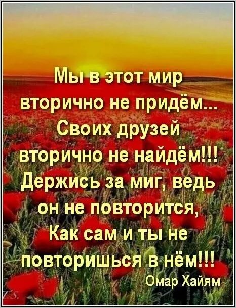 Мы в этот мир вторично не придём... Своих друзей вторично не найдём!!! Держись за миг, ведь он не повторится, Как сам и ты не повторишься в нём!!! Омар Хайям