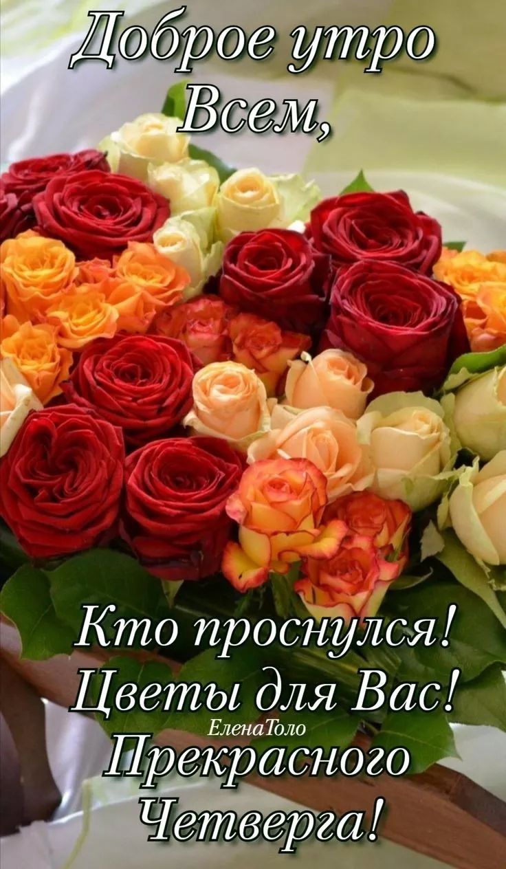Доброе утро Всем, Кто проснулся! Цветы для Вас! Елена Толо Прекрасного Четверга!