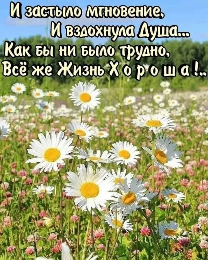 И застыло мгновение,
И вдохнула Душа...
Как бы ни было трудно,
Всё же Жизнь Х o р o ш а !..