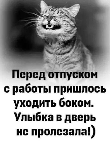 Перед отпуском с работы пришлось уходить боком. Улыбка в дверь не пролезала!)