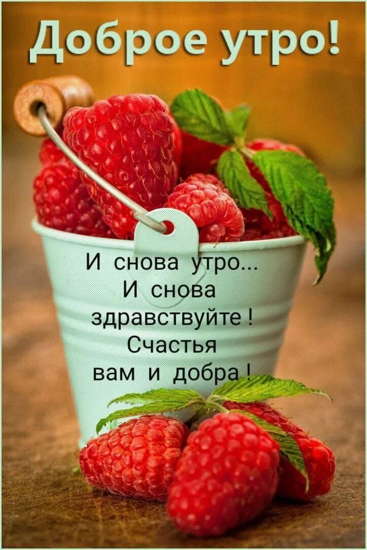 Доброе утро! И снова утро... И снова здравствуйте! Счастья вам и добра!