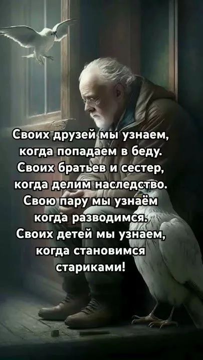 Своих друзей мы узнаем, когда попадаем в беду.
Своих братьев и сестер, когда делим наследство.
Свою пару мы узнаём, когда разводимся.
Своих детей мы узнаем, когда становимся стариками!