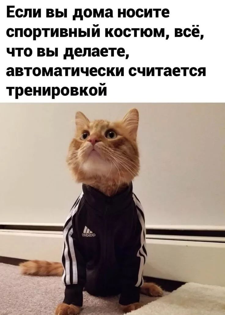 Если вы дома носите спортивный костюм, всё, что вы делаете, автоматически считается тренировкой
