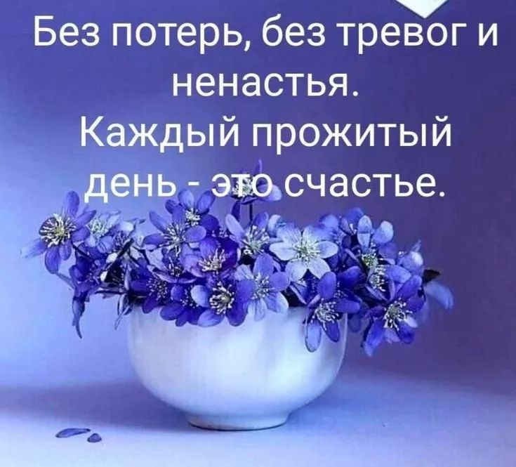 Без потерь, без тревог и несчастья. Каждый прожитый день - это счастье.