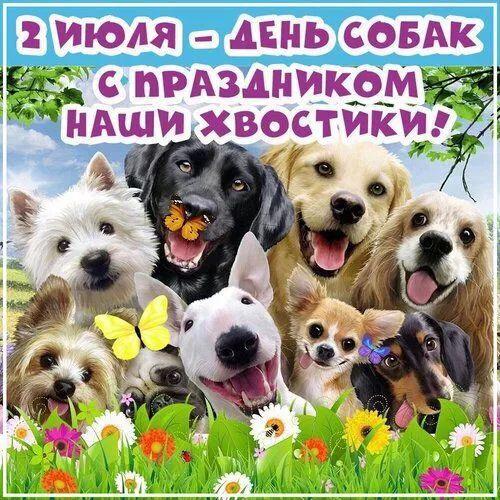 2 ИЮЛЯ - ДЕНЬ СОБАК С ПРАЗДНИКОМ НАШИ ХВОСТИКИ!