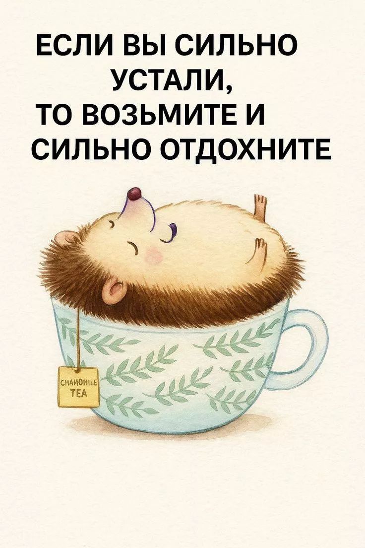 ЕСЛИ ВЫ СИЛЬНО УСТАЛИ, ТО ВОЗЬМИТЕ И СИЛЬНО ОТДОХНИТЕ