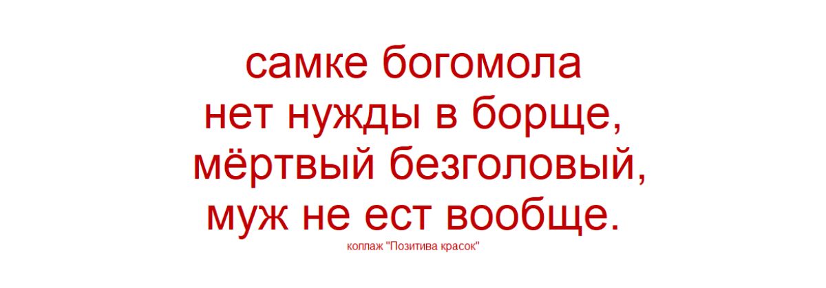 самке богомола нет нужды в борще, мёртвый безголовый, муж не ест вообще.