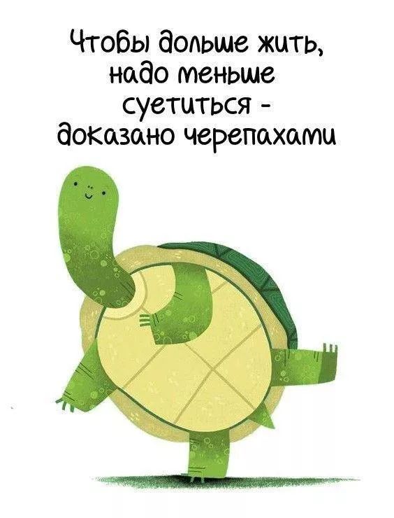 Чтобы дольше жить, надо меньше суетиться - доказано черепахами