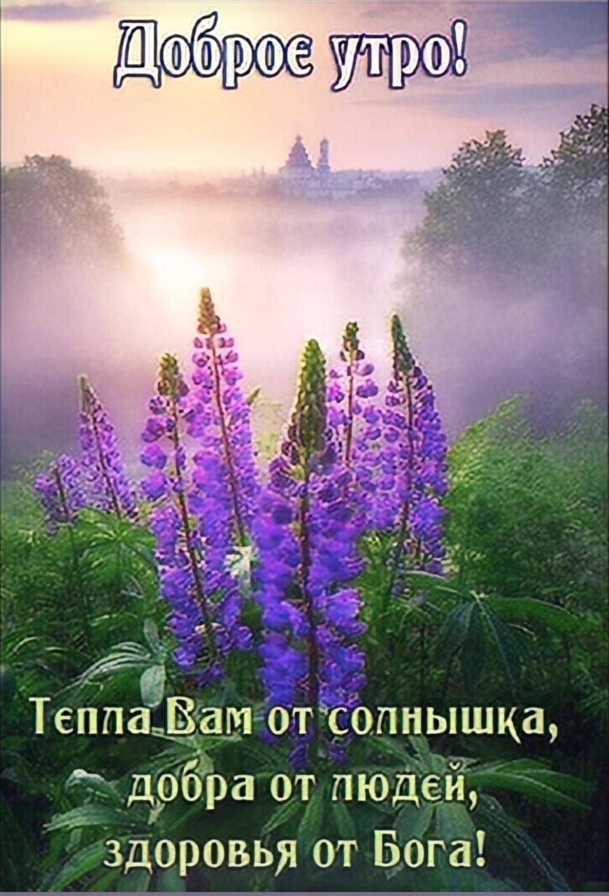 Доброе утро!
Тепла Вам от солнышка, добра от людей, здоровья от Бога!