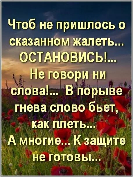 Чтобы не пришлось о сказанном жалеть... ОСТАНОВИСЬ!... Не говори ни слова!... В порыве гнева слово бьет, как плеть... А многие... К защите не готовы...