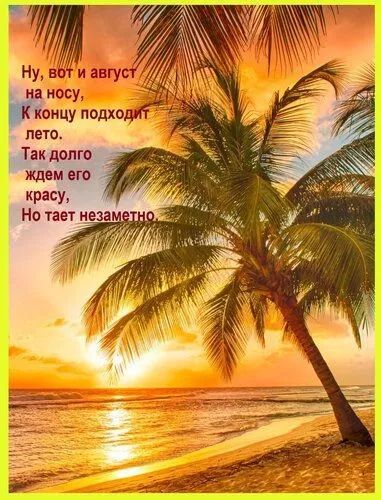 Ну, вот и август
на носу,
К концу подходит
лето.
Так долго
ждем его
красу,
Но тает незаметно.
