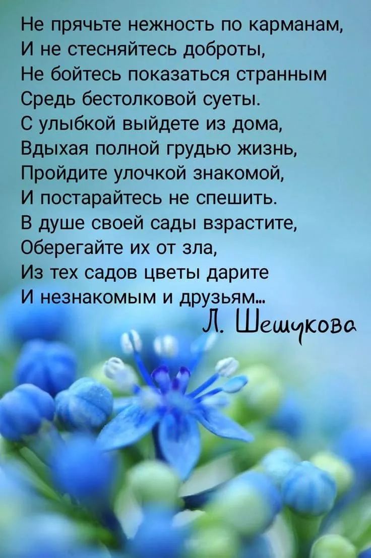 Не прячьте нежность по карманам, И не стесняйтесь доброты, Не бойтесь показаться странным Средь безтолковой суеты. С улыбкой выйдете из дома, Вдыхая полной грудью жизнь, Пройдите улочкой знакомой, И постарайтесь не спешить. В душе своей сады взрастите, Оберегайте их от зла, Из тех садов цветы дарите И незнакомым и друзьям… Л. Шешукова