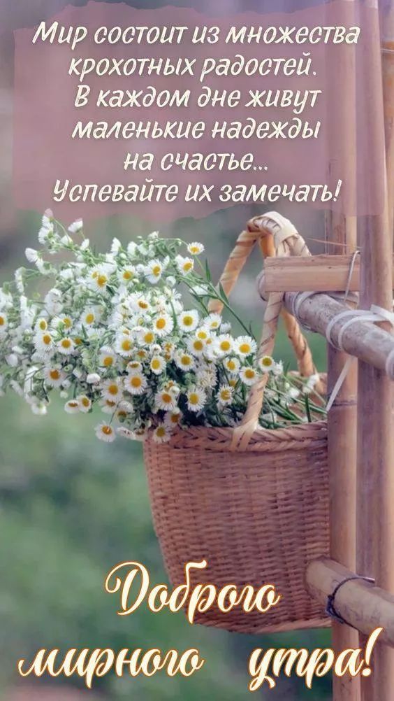 Мир состоит из множества крохотных радостей. В каждом дне живут маленькие надежды на счастье... Успевайте их замечать! Доброе мирного утра!
