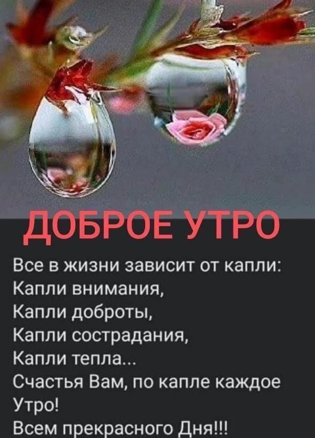ДОБРОЕ УТРО
Все в жизни зависит от капли:
Капли внимания,
Капли доброты,
Капли сострадания,
Капли тепла...
Счастья Вам, по капле каждое Утро!
Всем прекрасного Дня!!!