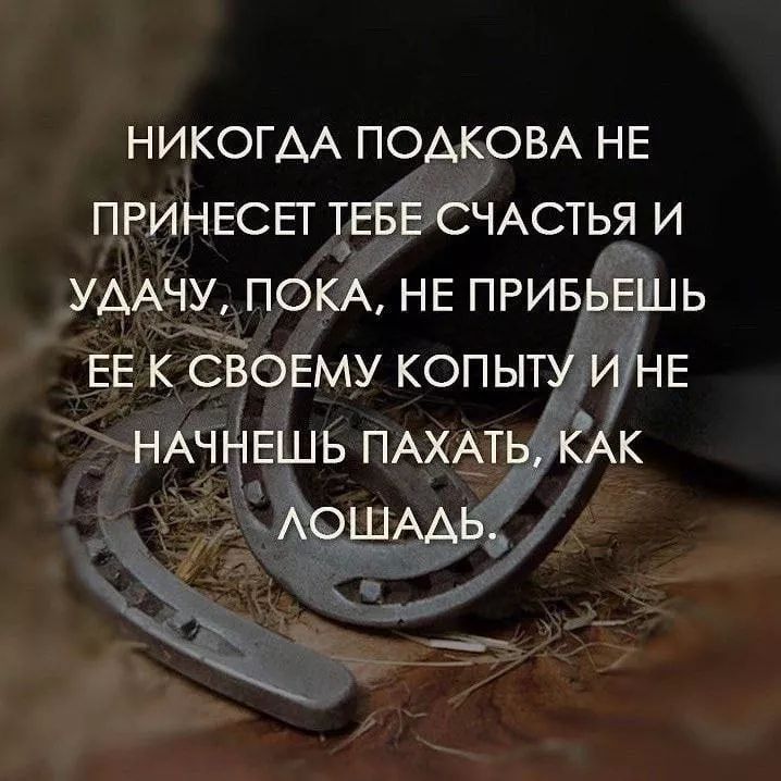НИКОГДА ПОДКОВА НЕ ПРИНЕСЕТ ТЕБЕ СЧАСТЬЯ И УДАЧУ, ПОКА, НЕ ПРИБЬЕШЬ ЕЕ К СВОЕМУ КОПЫТУ И НЕ НАЧНЕШЬ ПАХАТЬ, КАК ЛОШАДЬ.