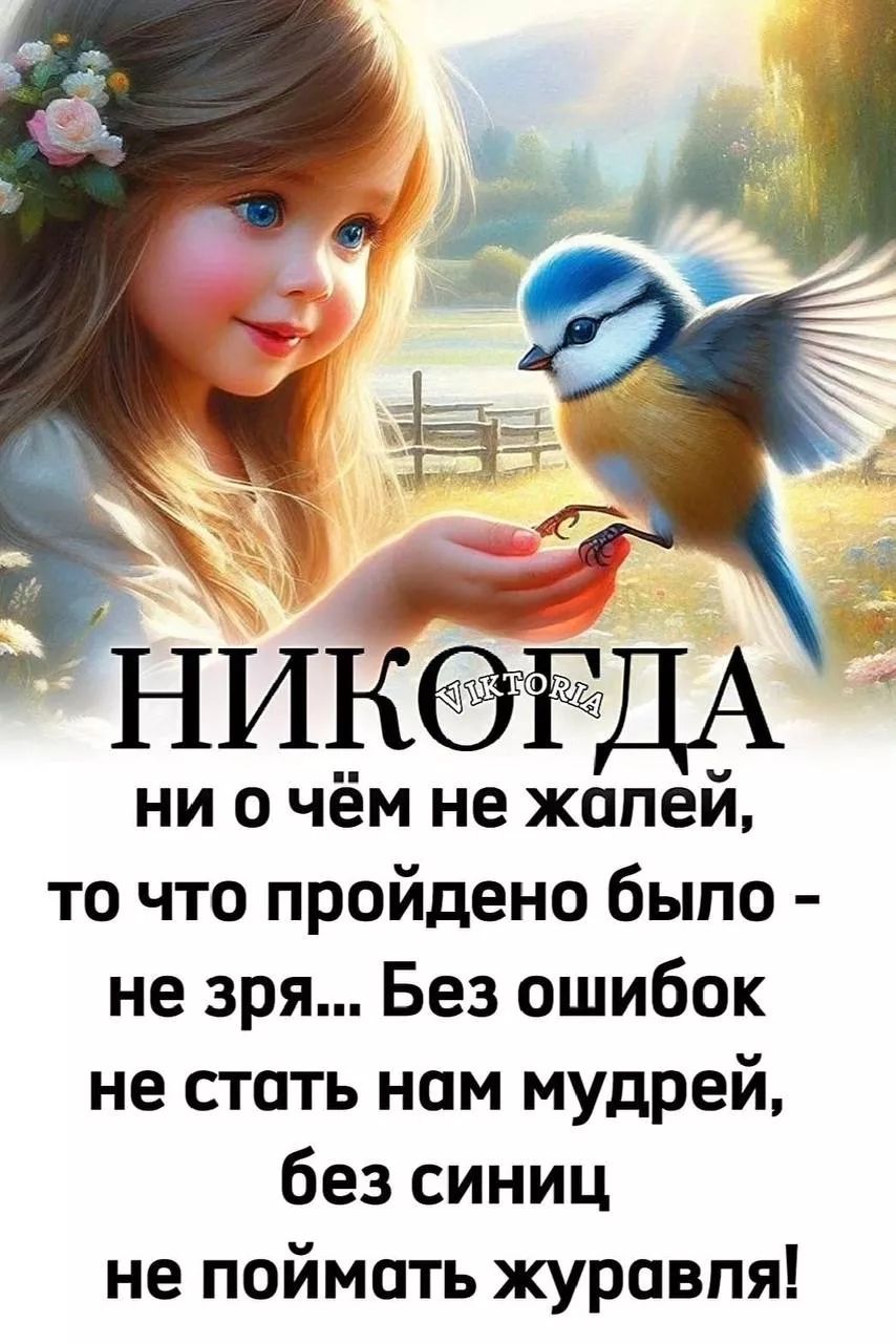 НИКОГДА ни о чём не жалей, то что пройдено было - не зря... Без ошибок не стать нам мудрей, без синиц не поймать журавля!