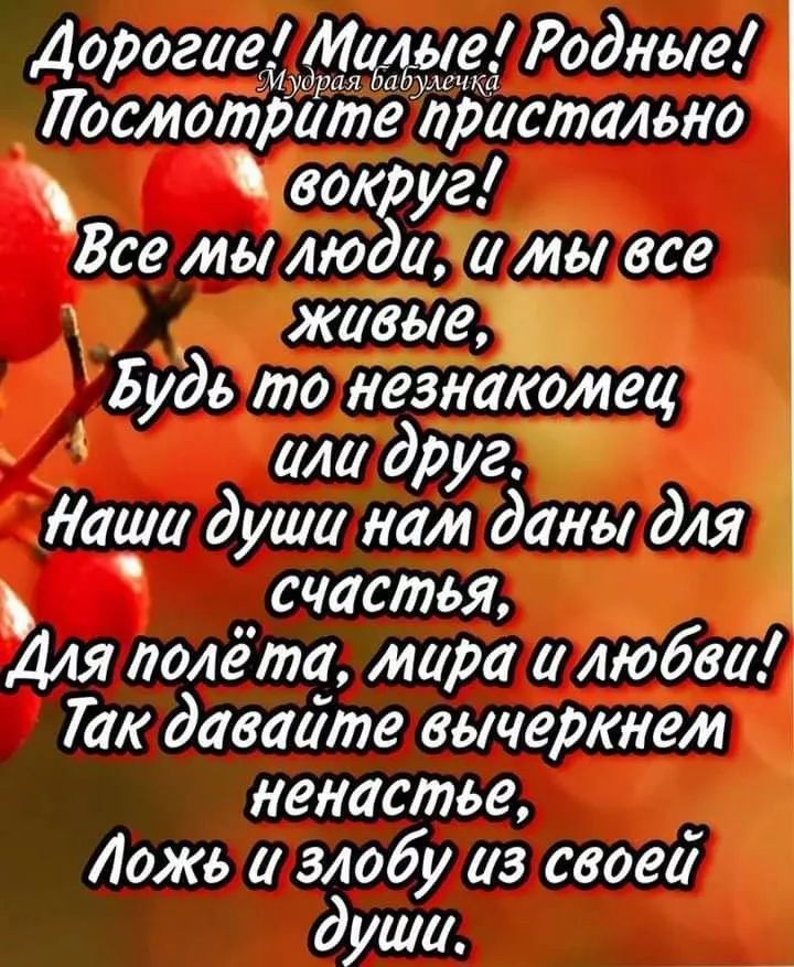 Дорогие! Милые! Родные! Посмотрите пристально вокруг! Все мы люди, и мы все живые, Будь то незнакомец или друг. Наши души нам даны для счастья, Для полёта, мира и любви! Так давайте вычерпнем ненастье, Ложь и злобы из своей души.