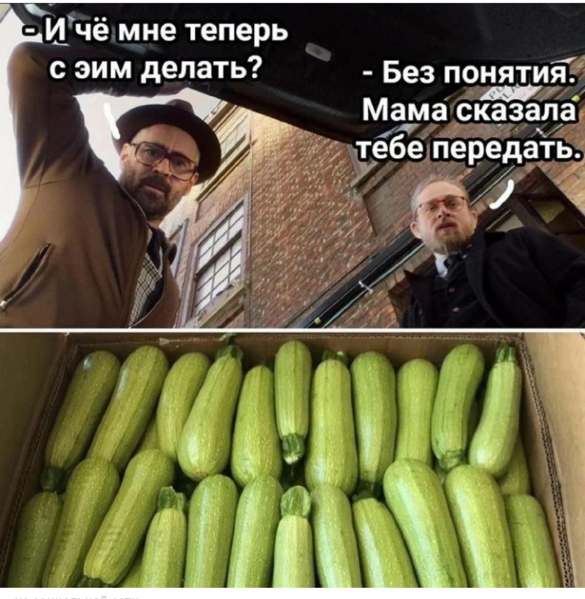 - И чё мне теперь с этим делать? - Без понятия. Мама сказала тебе передать.