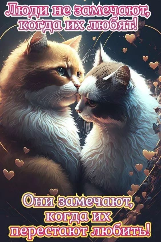 Люди не замечают, когда их любят! Они замечают, когда их перестают любить!