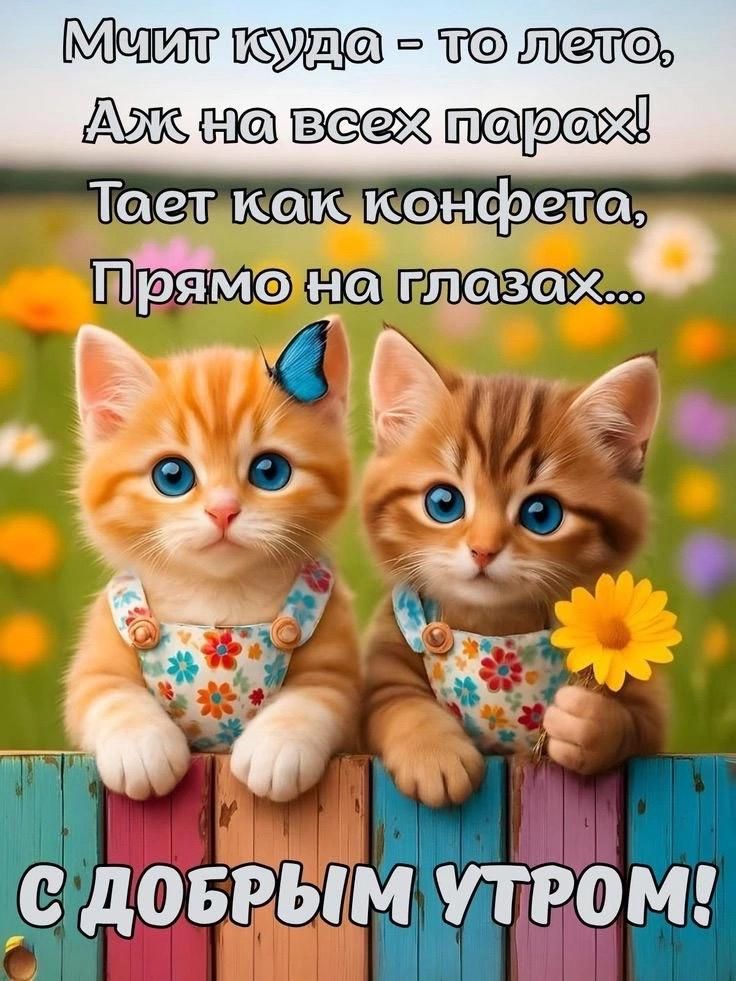 Мчит куда - то лето, Аж на всех парах! Тает как конфета, Прямо на глазах... С ДОБРЫМ УТРОМ!