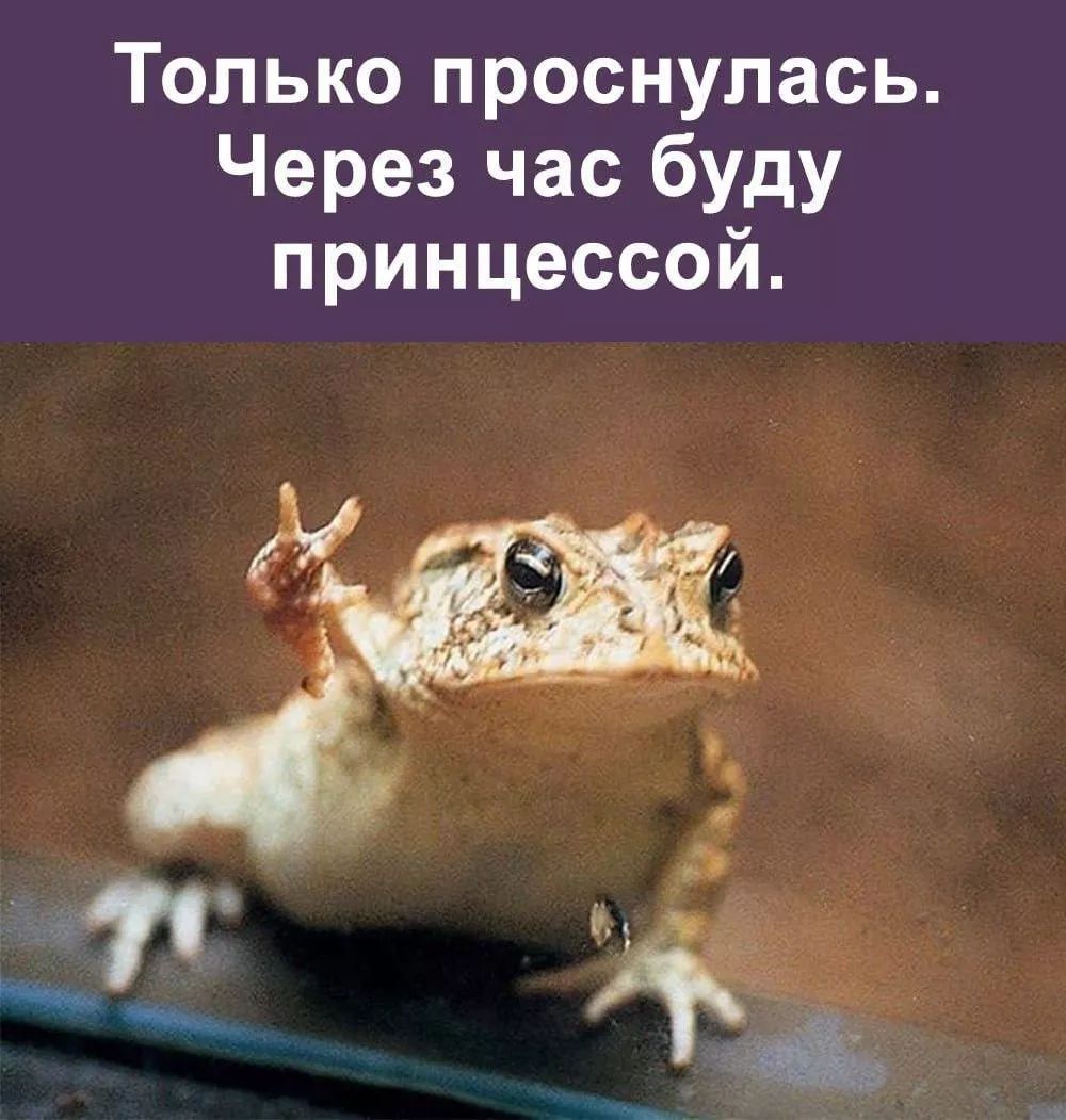 Только проснулась. Через час буду принцессой.